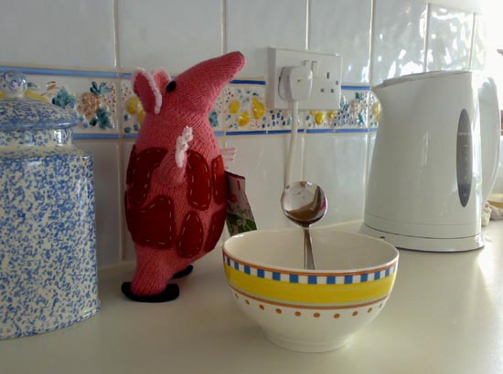 Charlotte's Clanger likes Cup-a-Soup!